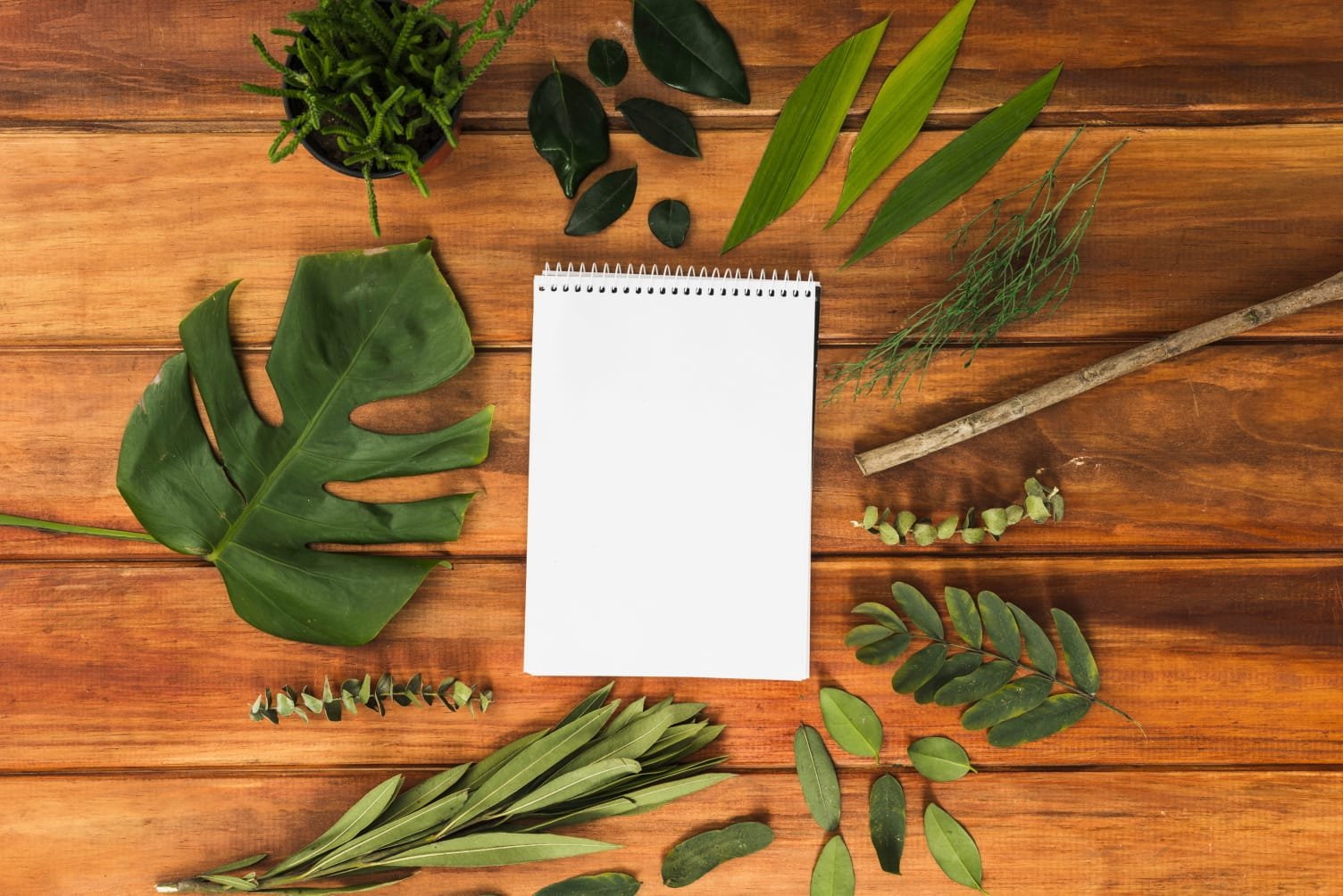 Beplantingsplan het toekomstig boerenhof